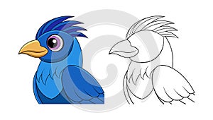 Dynamic Blue-Faced Malkoha Bird Representation