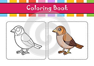 Dynamic Buff-Throated Saltator Bird Design