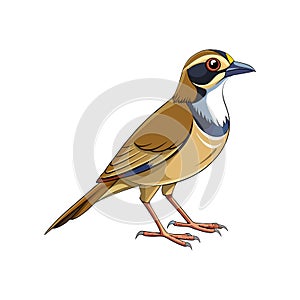 Dynamic Buff-Throated Saltator Bird Design