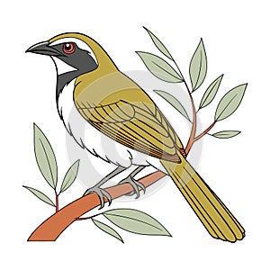 Dynamic Buff-Throated Saltator Bird Design