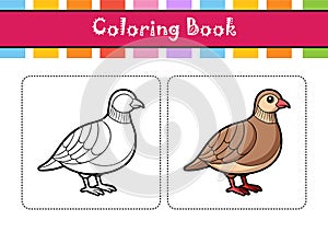 Dynamic Chukar Partridge Bird Artwork