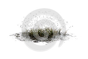 3d realistic rain splash impact on ground detail white background