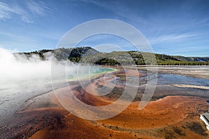 Dynamic geyser letting off steam in a volcanic region