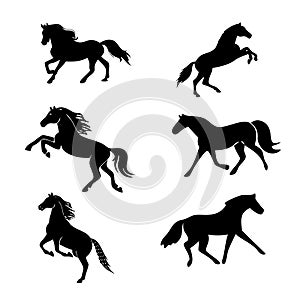 dynamic horse silhouettes set