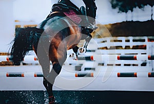 A dynamic moment as a horse and its rider leap over a high barrier in a showjumping competition. The equestrian athleticism,