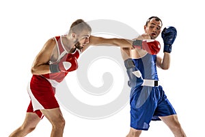 Dynamic portrait of two professional boxer in sports uniform boxing  on white background. Concept of sport