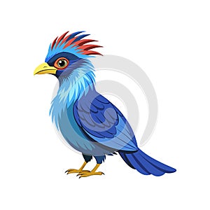 Dynamic Blue-Faced Malkoha Bird Representation