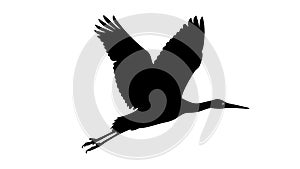 Dynamic Silhouette of a Flying Bird, Simple and Versatile, vector design Generative AI