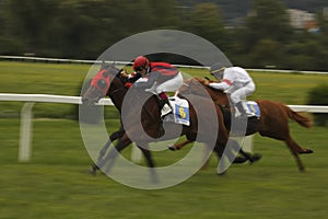 Dynamic st. Leger horse racing