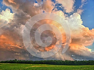 Dynamic thunderstorm mesocyclone