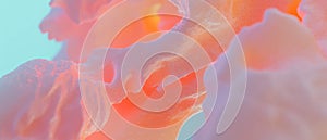 Dynamic transformation of 3D data visualizations representing data evolution