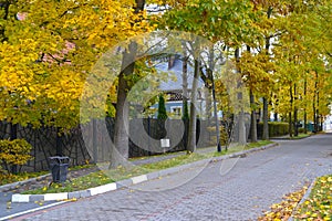 Dynamo Street in autumn day. Svetlogorsk, Kaliningrad region