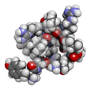 Dynorphin a endogenous opioid peptide molecule. 3D rendering. photo