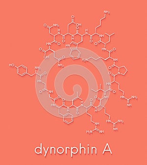 Dynorphin a endogenous opioid peptide molecule. Skeletal formula. photo