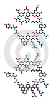 Dynorphin a endogenous opioid peptide molecule photo