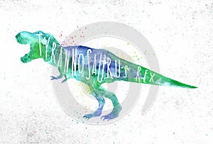Dynosaur tyranosaurus vivid color photo