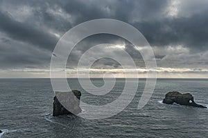 Dyrholaey Area in Iceland. Close to Black Sand Beach. Sunrise. Flying Bird and Rock in Background.