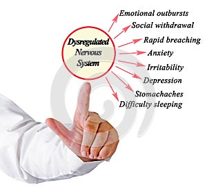 Dysregulated Nervous System