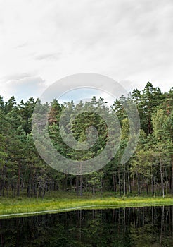 dystrophic lake in the middle of forest