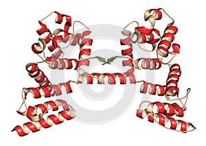 Dystrophin muscle protein domain (N-terminal actin binding domain). Defects cause Duchenne muscular dystrophy (DMD photo