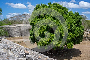 Dzibilchaltun a Mayan archaeological site near Merida, Yucatan, Mexico