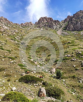 Dzungar Alatau mountains