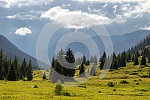 Dzungarian Alatau mountains, Kazakhstan