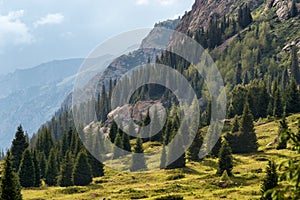 Dzungarian Alatau mountains, Kazakhstan