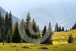 Dzungarian Alatau mountains, Kazakhstan