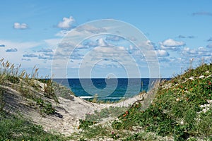 DÃÂ¼nenlandschaft  zwischen Liseleje Strand und Tisvildelje Strand, Seeland, DÃÂ¤nemark