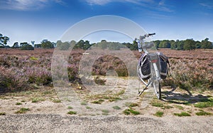 E bike on the dutch heather fields