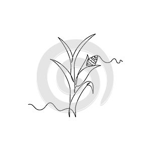 one line art Corn Plant vector illustration