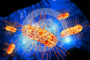 E.Coli Bacteria Cells 3D Illustration