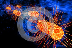 E.Coli Bacteria Cells 3D Illustration