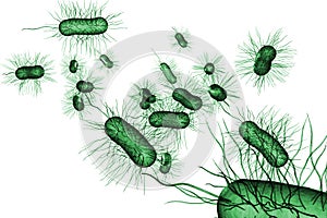 E.Coli Bacteria Cells 3D Illustration