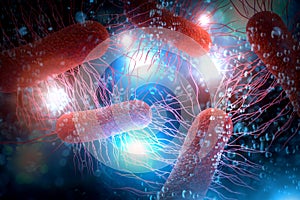 E.Coli Bacteria Cells 3D Illustration