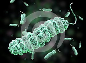 E coli Bacteria. flagellate rods type category