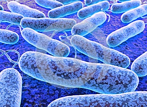E coli Bacteria. vibrios type category.