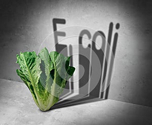 E coli Contaminated Food photo