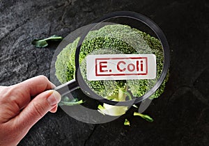 E Coli contamination