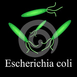 E. coli. Diseases causing E. coli. Infographics. Vector illustration