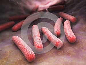 E. coli photo