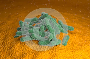 E-coli Escherichia coli bacteria infection 3d render illustration