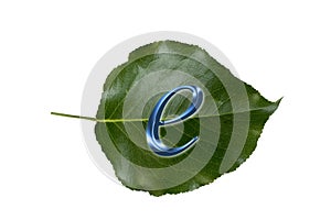 E-Commerce sign on green leaf