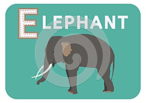 E for elephant alphabet cartoon animal for children