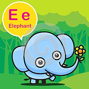 E Elephant color cartoon and alphabet for children to learning v