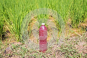 E.M.Effective Micro Oroanism, Bio Extract , homemade bottle for agriculture