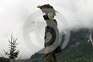 Eagle