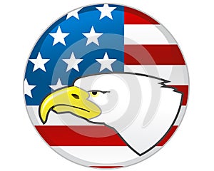 Eagle and American flag