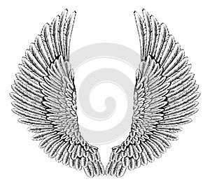Orel nebo andělská křídla 